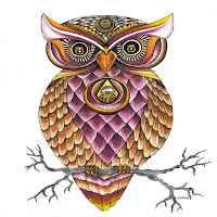 Nocturnal — Groove Template — обложка